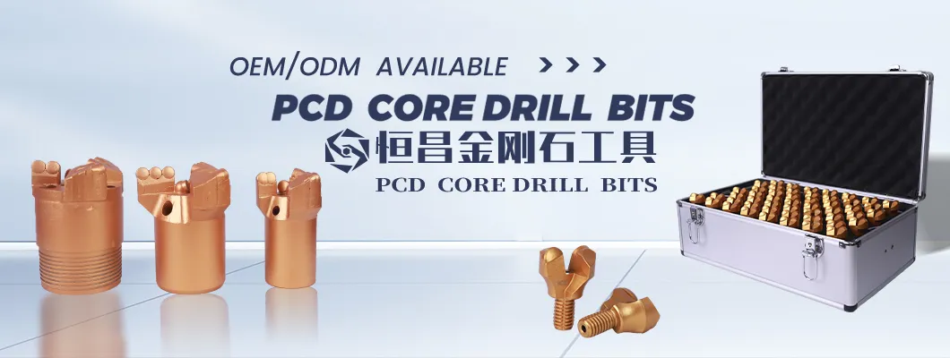 Hot Sale Diamond Core Sample Drill Bits for Mining Exploration Geological Stone Cutter